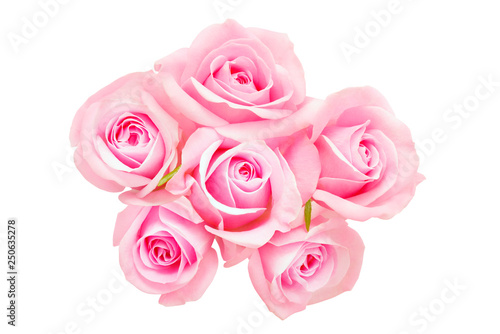 Fototapeta Naklejka Na Ścianę i Meble -  Pink roses	
