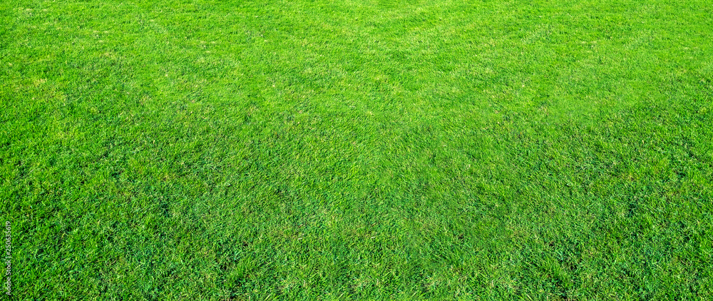 Landscape of grass field in green public park use as natural background or backdrop. Green grass texture from a field. Stadium grass landscape. Landscape of grass field in green public park use as natural background or backdrop. Green grass texture from a field. Stadium grass landscape.