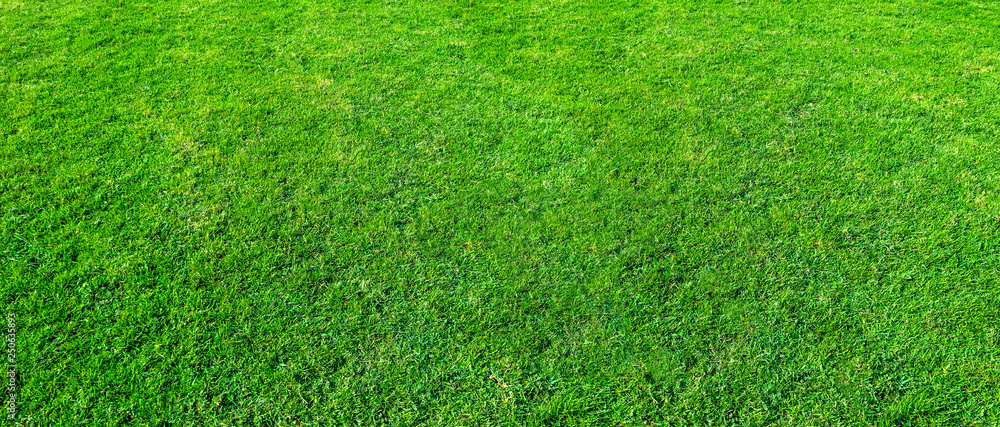 Landscape of grass field in green public park use as natural background or backdrop. Green grass texture from a field. Stadium grass landscape. Landscape of grass field in green public park use as natural background or backdrop. Green grass texture from a field. Stadium grass landscape.