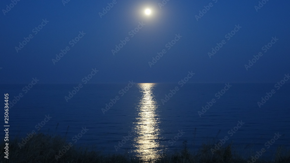 Fototapeta premium moonlight
