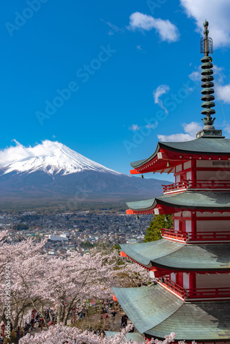 Photography Mount Fuji viewed from behind Chureito Pagoda in full bloom cherry blossoms springtime sunny day in clear blue sky natural background
