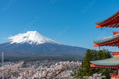 Mount Fuji viewed from behind Chureito Pagoda in full bloom cherry blossoms springtime sunny day in clear blue sky natural background. Arakurayama Sengen Park, Fujiyoshida, Yamanashi Prefecture, Japan