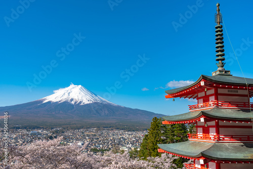 Mount Fuji viewed from behind Chureito Pagoda in full bloom cherry blossoms springtime sunny day in clear blue sky natural background. Arakurayama Sengen Park, Fujiyoshida, Yamanashi Prefecture, Japan