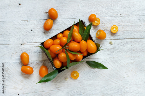 Kumquat fruits on a grey background © katrinshine