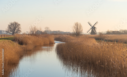Tranditional, Dutch windmill in a wetland full of reed. Groningen, Holland.