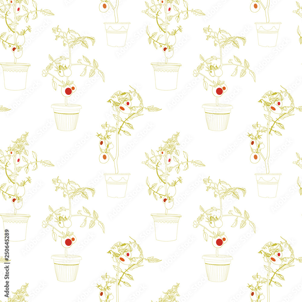 White pattern with tomato plant in pot. White pattern with tomato plant in pot.