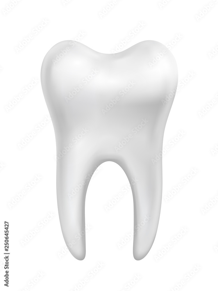 Vector white beautiful shiny tooth illustration isolated on white background Vector white beautiful shiny tooth illustration isolated on white background