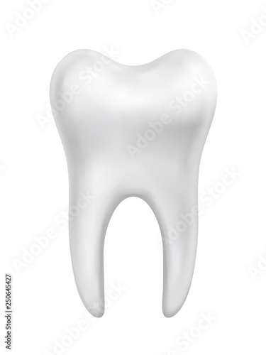 Vector white beautiful shiny tooth illustration isolated on white background