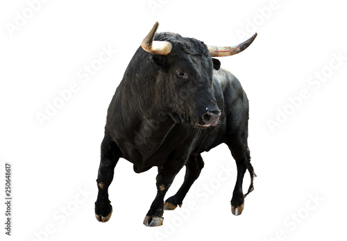 toro español