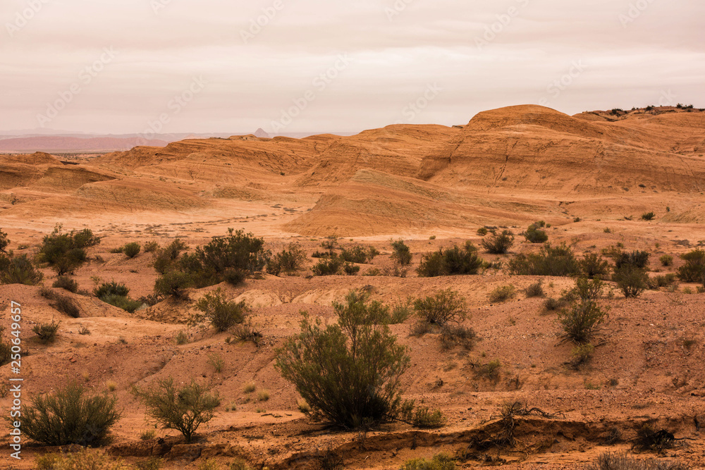 Talampaya's Desert