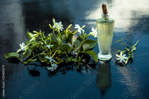 Close up of spray or perfume of Indian jasmine flower or juhi or Jasminum Auriculatum on wooden surface in a small bottle with raw flowers. photo