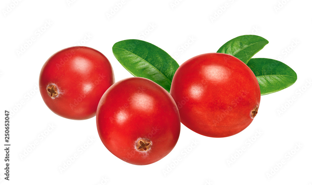 Obraz premium Cranberries mit Blättern