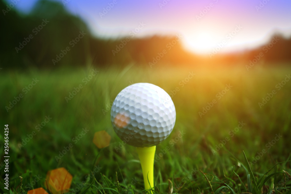 golf ball close up in grass field with sunset. Golf ball close up in golf coures at Thailand golf ball close up in grass field with sunset. Golf ball close up in golf coures at Thailand