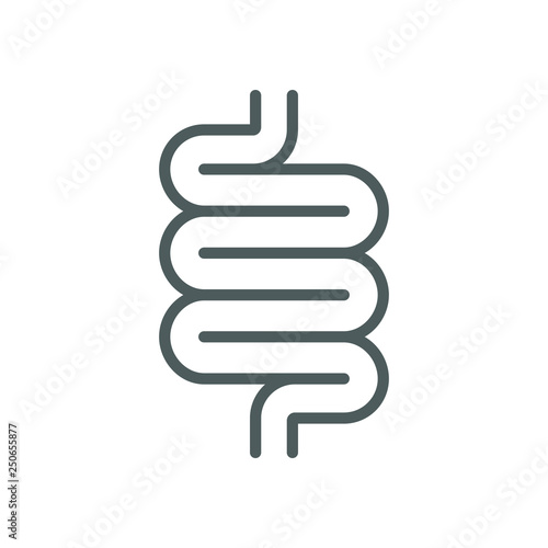 Intestine human icon. Isolated medical symbol on white background. Vector illustration