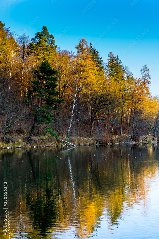 Different colored trees in autumn season reflected by silent lake water at sunset