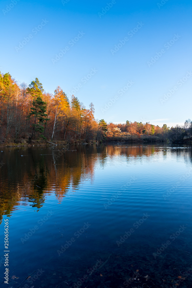 Warm sunset light on autumn style forest alongside lake water Warm sunset light on autumn style forest alongside lake water