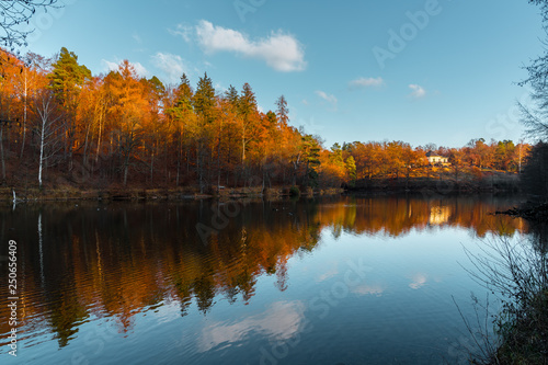 Autumn forest and sky reflecting in silent lake water