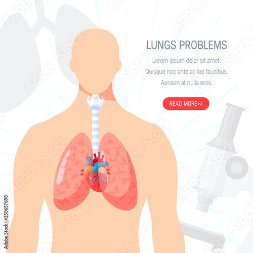 Human lungs vector icon in flat style