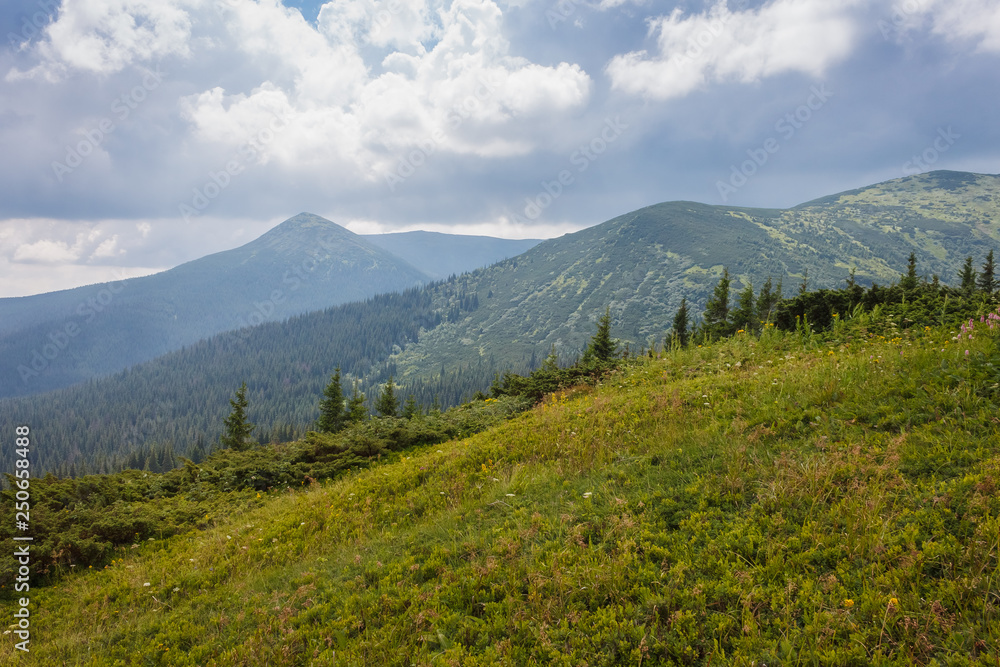 Mountain landscape. A view of the mountains with green meadows and coniferous forests against the background of beautiful clouds 