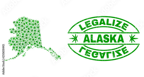 Vector cannabis Alaska map mosaic and grunge textured Legalize stamp seal. Concept with green weed leaves. Template for cannabis legalize campaign. Vector Alaska map is designed with weed leaves.