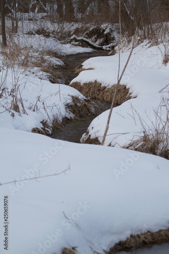 Winter Stream