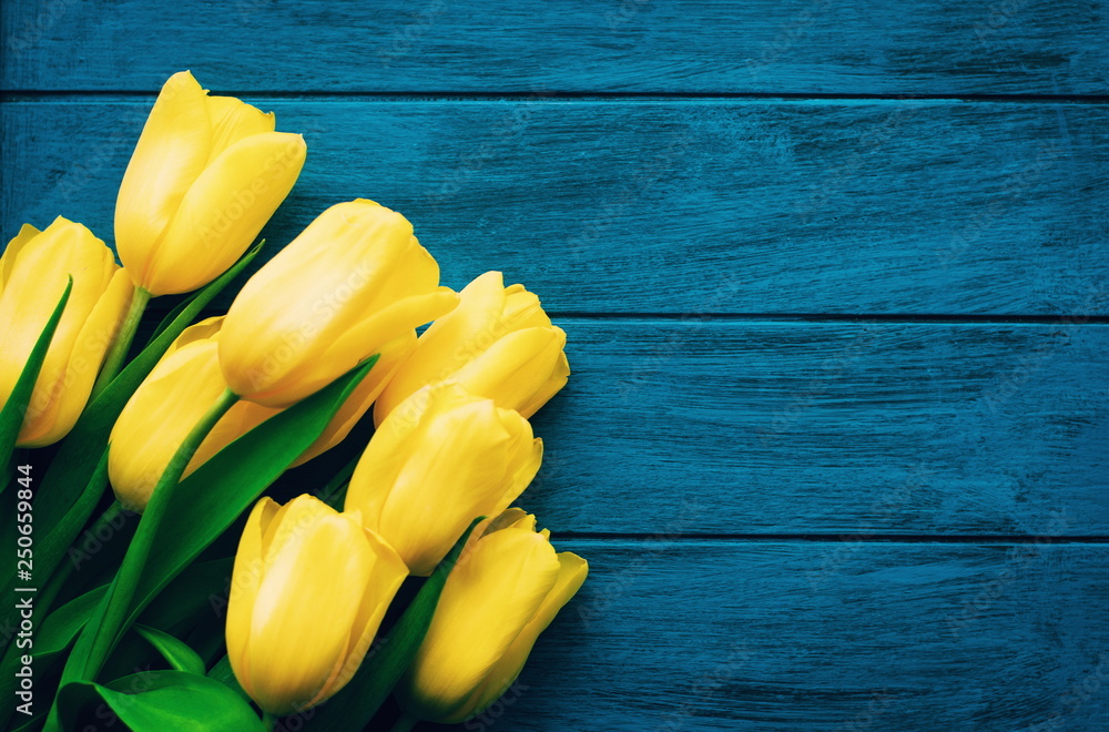 Bunch of spring tulip flower on wooden background. Background with yellow   of yellow tulips on a blue background Stock Photo | Adobe  Stock