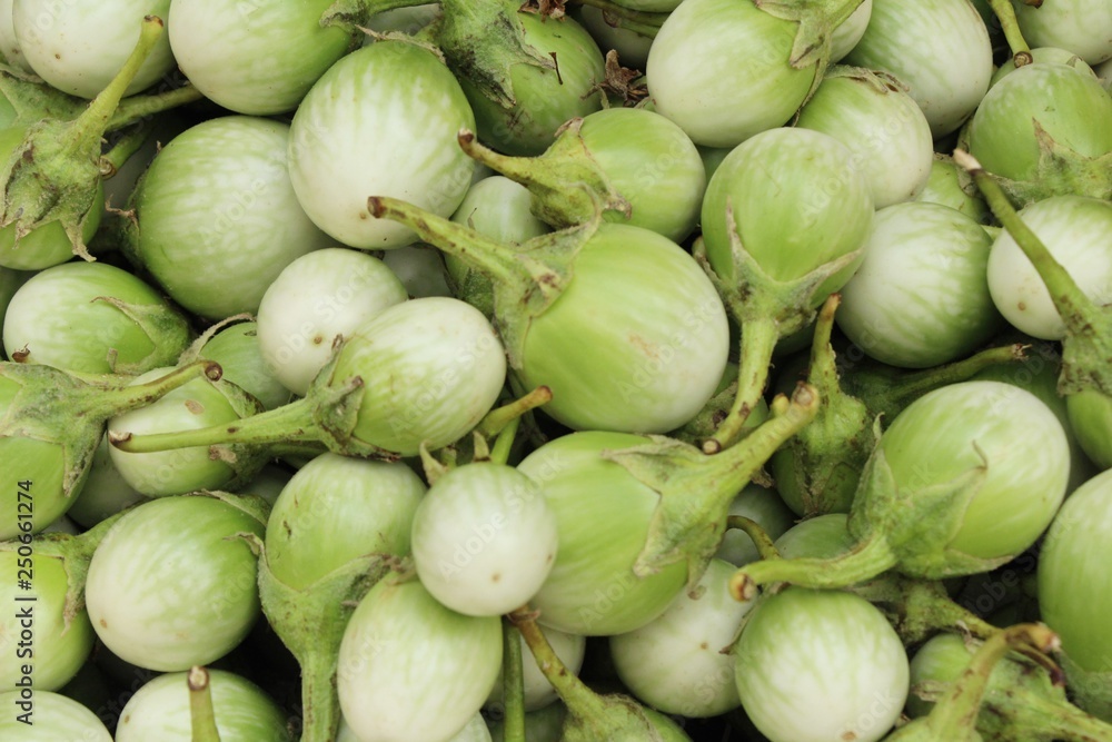 Fresh eggplant green organic at street food Fresh eggplant green organic at street food