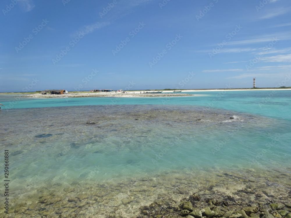 Mar azul Isla La Tortuga