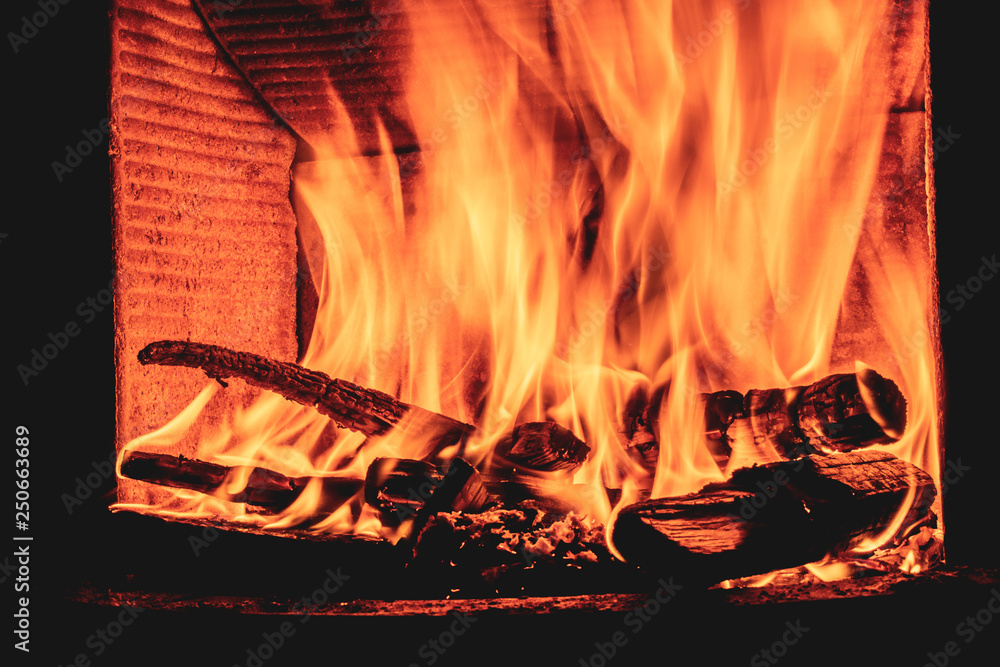 Fototapeta premium Log fire burning