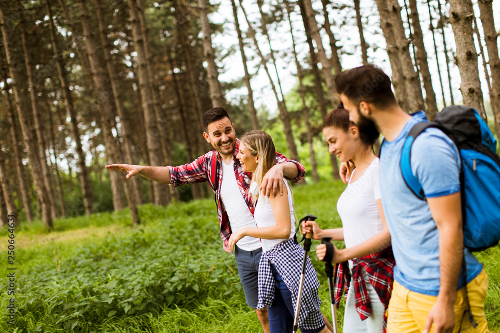 Group of four friends hiking together through a forest Group of four friends hiking together through a forest