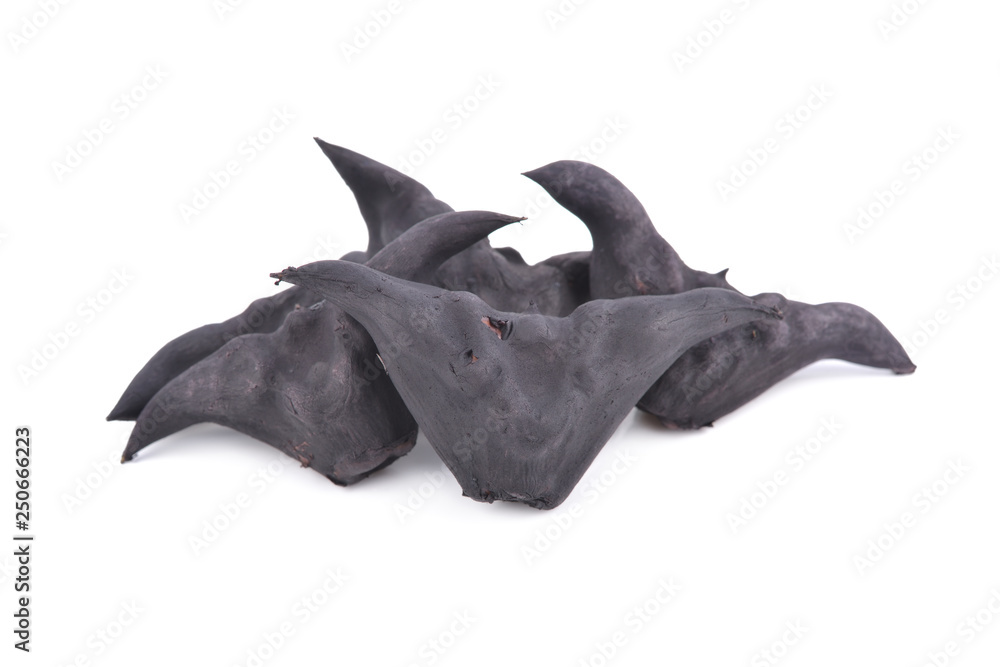 Fototapeta premium boiled bull horn Shaped Water Caltrop nut on white background