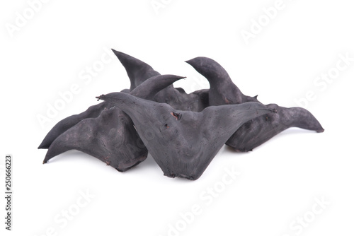 boiled bull horn Shaped Water Caltrop nut on white background