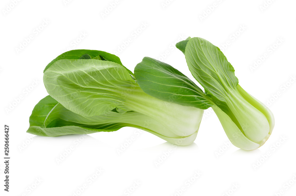 fresh baby bok choy or chinese cabbage on white background fresh baby bok choy or chinese cabbage on white background
