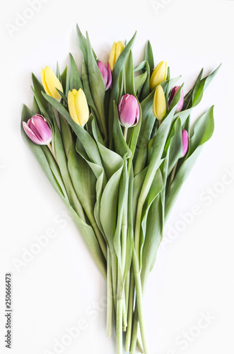 Spring big bouquet. Yellow and pink tulips. Spring card or background with space for text.  Top view. Copy space.  Mock-up