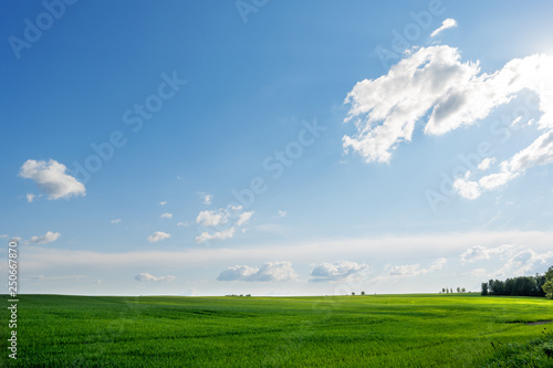 Countryside field natural background. Green grass and blue sky. Cloudscape in sunny day. Russia.