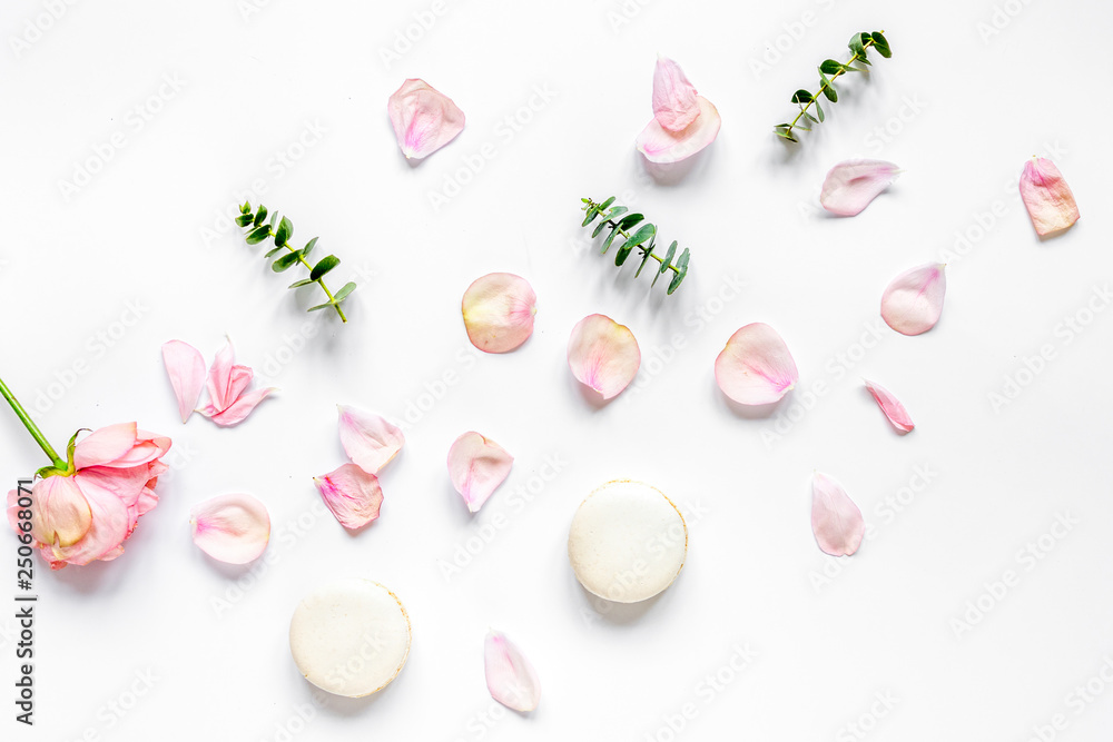 spring pattern with macaroons and flower in soft light top view