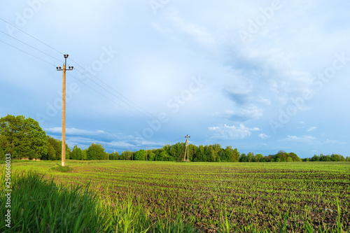 Countryside field natural background. Green grass and blue sky. Cloudscape in sunny day. Russia.