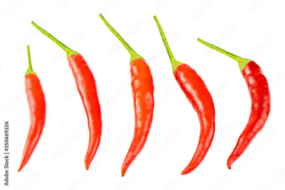 red chili peppers isolated on white background red chili peppers isolated on white background