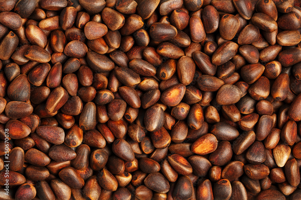 Pine nut in the shell close-up. Texture Macro Pine nut in the shell close-up. Texture Macro