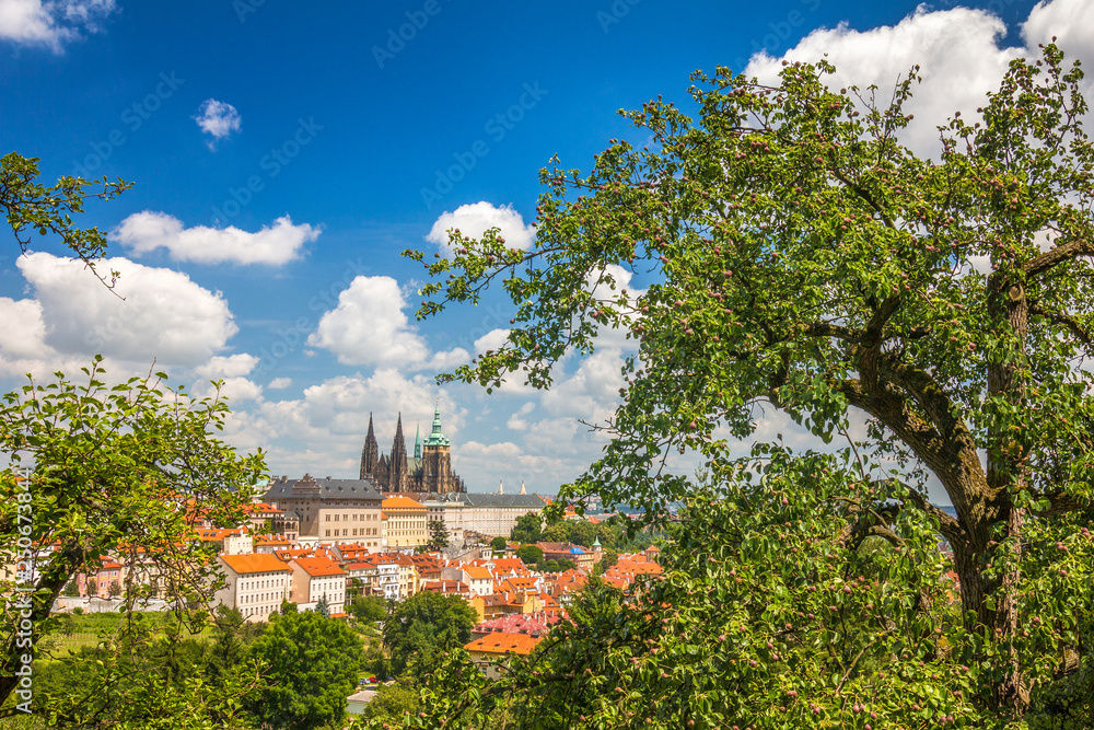 View of Prague Castle from park under The Petrin Hill, Czech Republic, Europe.