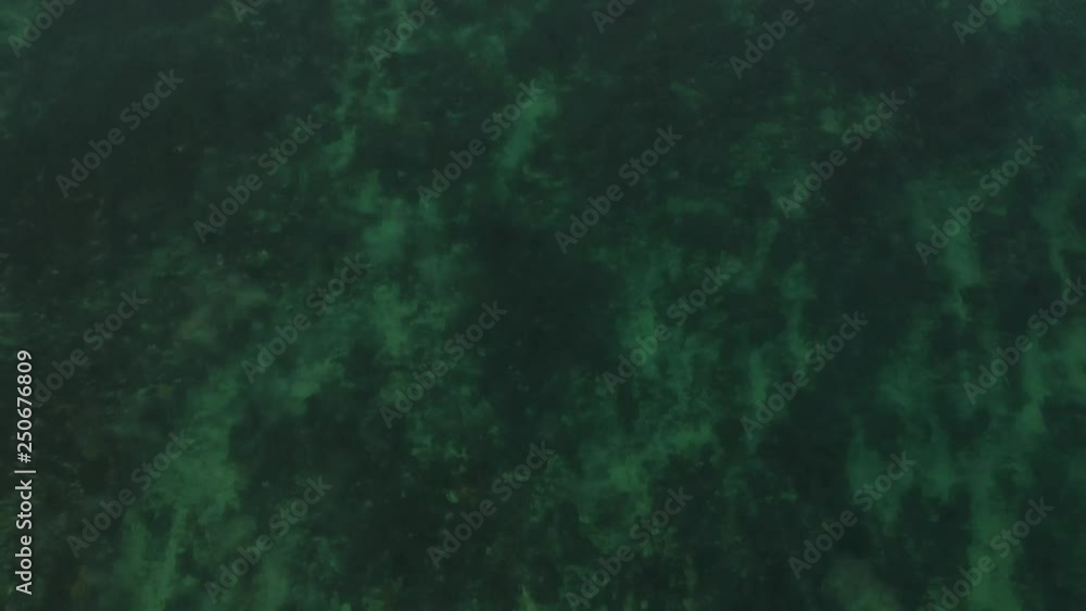 Aerial view of surfers in the ocean beside the Great Ocean Road. Aerial view of surfers in the ocean beside the Great Ocean Road.