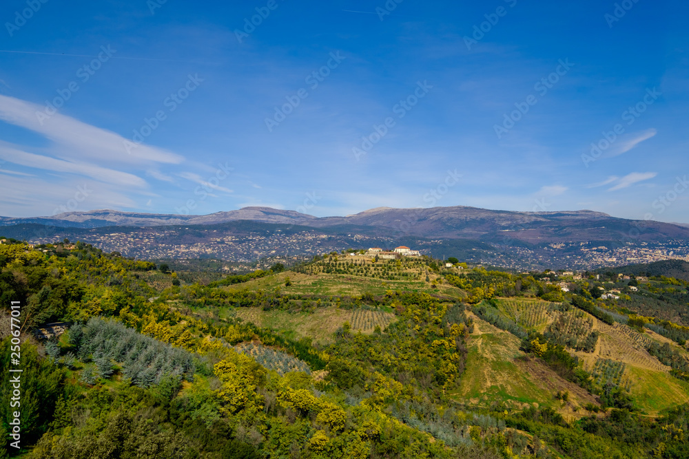 Vue panoramique sur le massif de Tanneron, arbres de mimosa en fleurs, Provence, sud de France.	