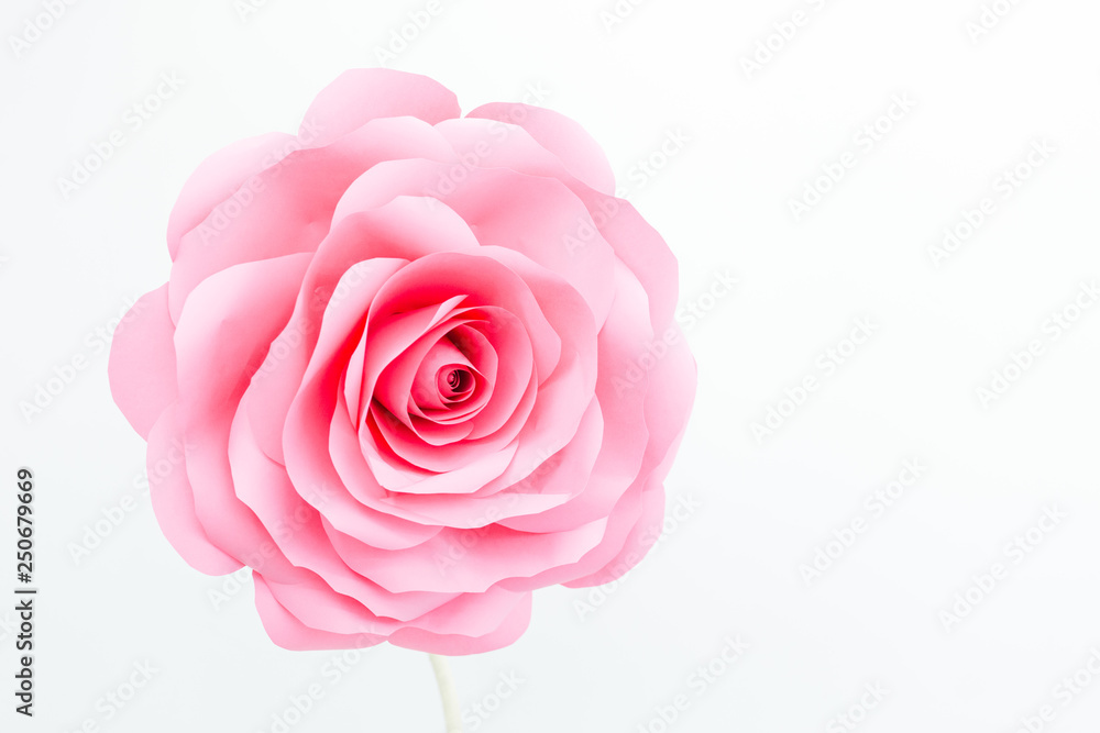 Fototapeta premium decorative rose bud on a white background