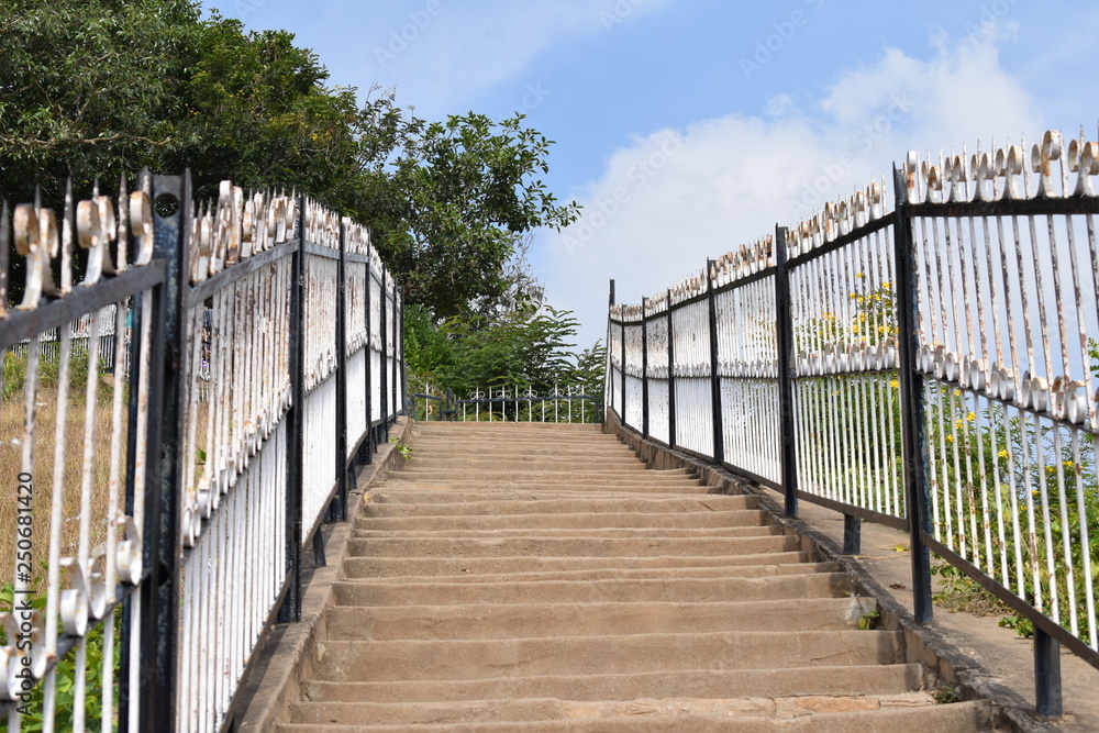 Obraz premium wooden bridge in park