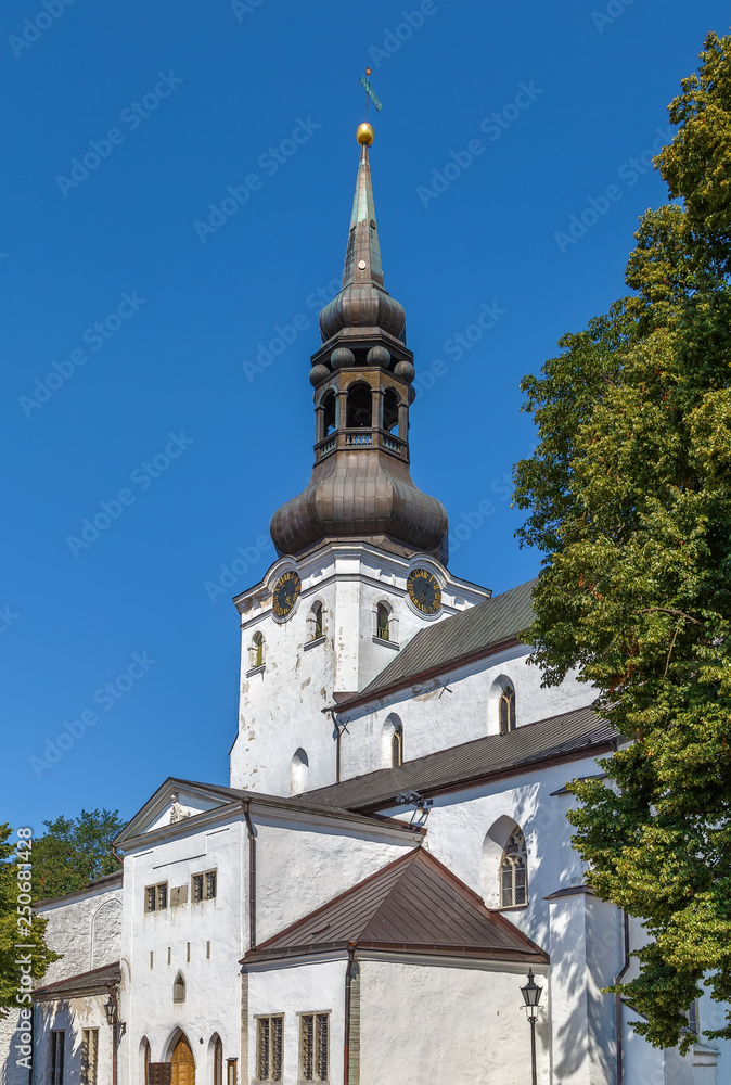 St. Mary's Cathedral, Tallinn, Estonia