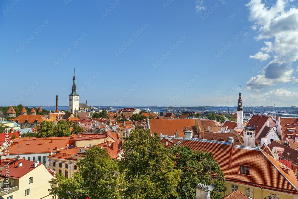 Panoramic view of Tallinn, Estonia