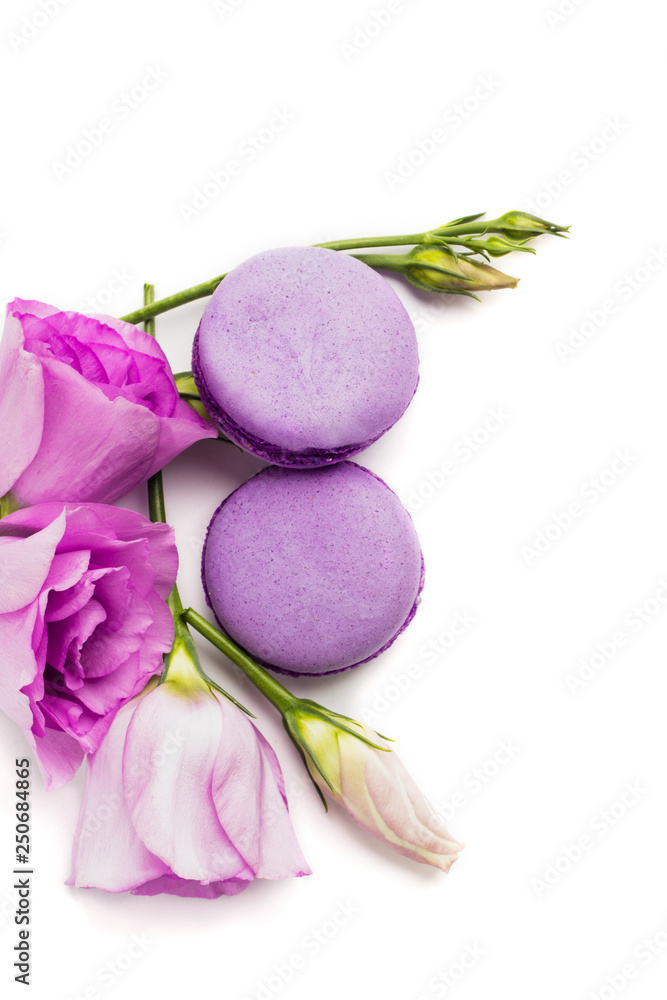 Cake macaron or macaroon isolated on white Cake macaron or macaroon isolated on white