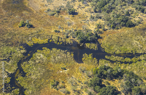 In the Okavango Delta