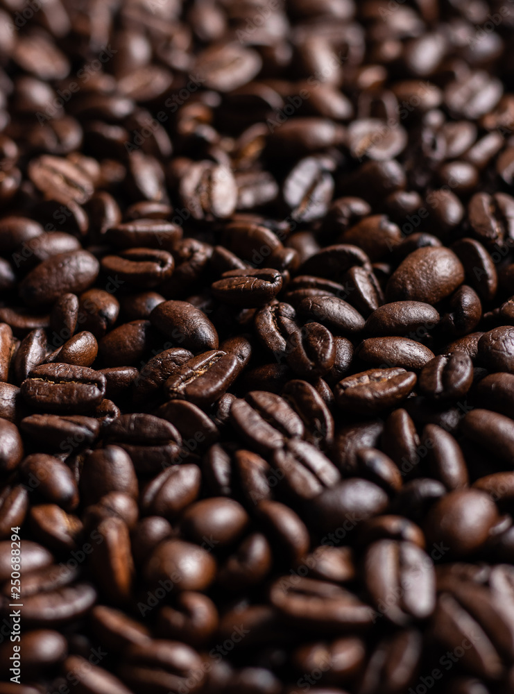 Coffee beans freshly roasted Coffee beans freshly roasted