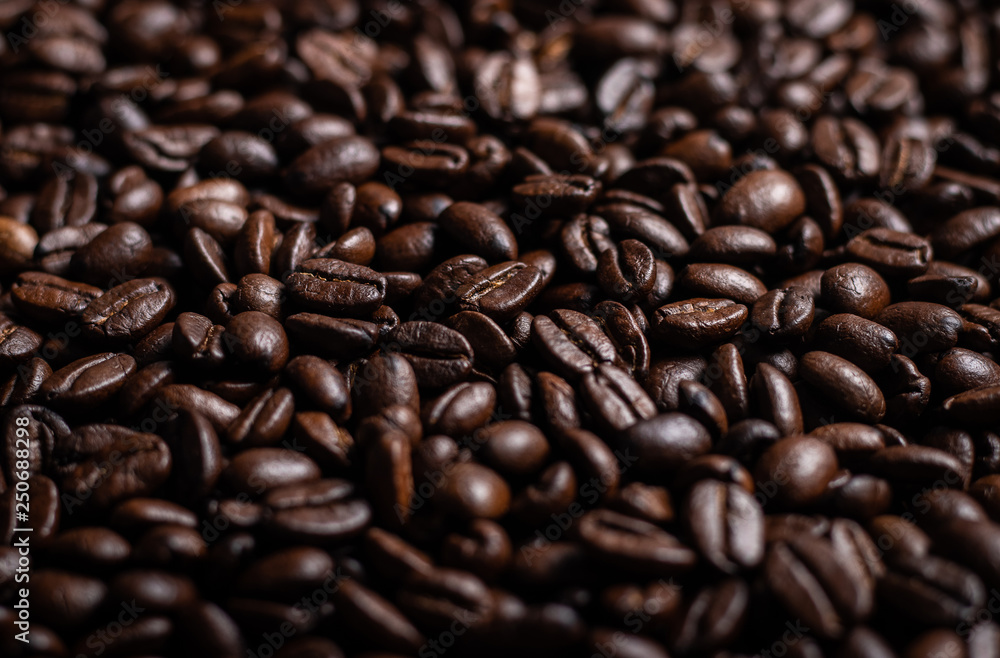 Fototapeta premium Coffee beans freshly roasted